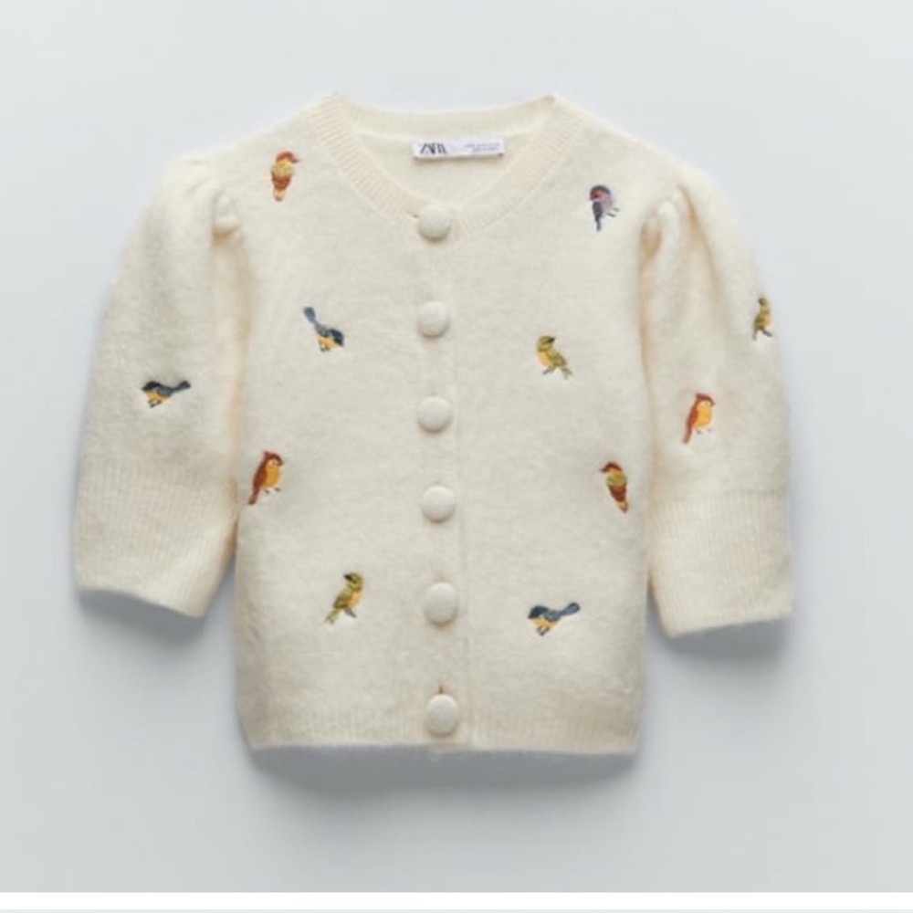 Zara embroidered knit cardigan! Very Rare Find!